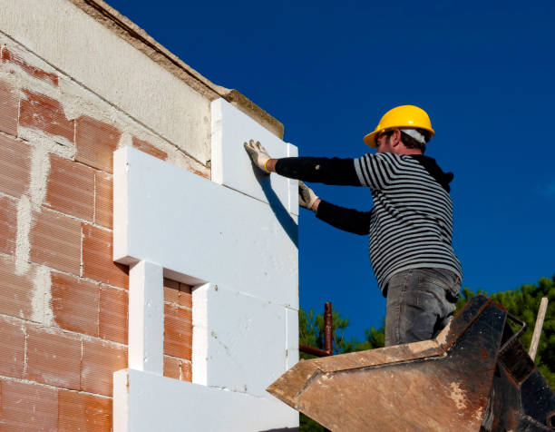 Best Insulation Materials and Products in Bowling Green, VA